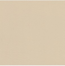 Domestic Vinyl Smooth Beige Per Met